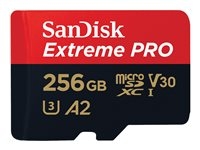 - - SDSQXCD-256G-GN6MA