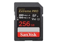 - - SDSDXEP-256G-GN4IN
