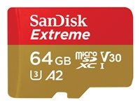 Carte mémoire Flash - - SDSQXAH-064G-GN6MA