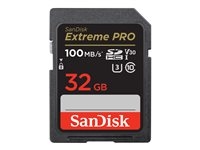 Carte mémoire Flash - - SDSDXXO-032G-GN4IN