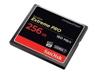 Disque dur et stockage - Carte mémoire Flash - SDCFXPS-256G-X46