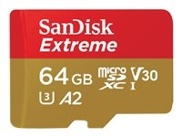 Carte mémoire Flash -  - SDSQXAH-064G-GN6AA