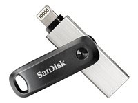 Carte mémoire Flash - - SDIX60N-256G-GN6NE