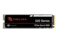 Hard Drives & Stocker - Internal SSD - ZP1000GV3A012