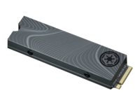 Hard Drives & Stocker - Internal SSD - ZP500GM3A033
