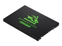 Hard Drives & Stocker - Internal SSD - ZA250CM1A003