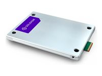 Hard Drives & Stocker -  - SBFPFABU307T001