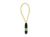 Single Mode MPO-12 Female Loopback Plug