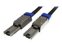 Kabels - SAS kabels - ISAS88881