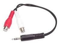 Accessoires et Cables - Câbles vidéo/audio - MUMFRCA