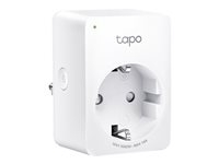 - - TAPO P110