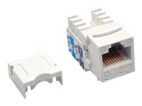 - - N238-025-WH