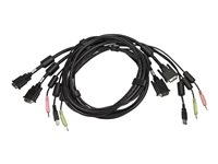 Avocent - Câble clavier/vidéo/souris/audio - USB type B, DVI-D, jack mini (M) pour USB, DVI-D, jack mini (M) - 3.05 m - pour Avocent SV340
