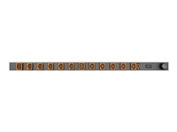 Geist Basic Standard GVHVAN122-102P02PS6-IP44 - Unité de distribution secteur (rack-montable) - CA 230 V - 3.6 kW - entrée : IEC 60309 2P+E - connecteurs de sortie : 12 (10 x IEC 60320 C13, 2 x IEC 60320 C19) - 3 m cordon - revêtement noir poudré