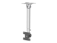 VISION Ceiling Mount VESA 100x100