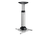 PPC 1030/Prj Ceiling Mount 300-450mm Sil