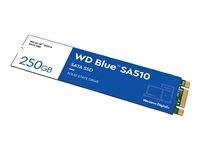 Hard Drives & Stocker - Internal SSD - WDS250G3B0B