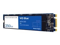 Hard Drives & Stocker - Internal SSD - WDS250G2B0B