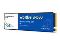 Hard Drives & Stocker - Internal SSD - WDS250G3B0E