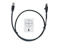 CABLE ETHERNET 1M X-CODED M12 TO RJ45 STANDARD FLEX