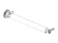 Zebra - Plaatroller 300 dpi - voor Zebra ZD621d