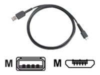 Zebra - Câble USB - USB (M) pour Micro-USB de type B (M) - pour Zebra MC2200, MC3300-G, MC3300x, MC3330XR, MC3390xR, TC52-HC, TC57x, TC8300