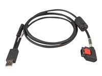 Zebra - Câble USB - USB (M) - pour Zebra WT6300