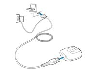Zebra - Serial cable - RS-232 to RJ-50 - 2.13 m