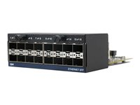 ZPE - Module d'extension - Gigabit Ethernet x 16 - pour P/N: ZPE-NSR-832-DDC, ZPE-NSR-832-SAC-POE, ZPE-NSR-864-SAC-POE, ZPE-NSR-864-SDC-POE