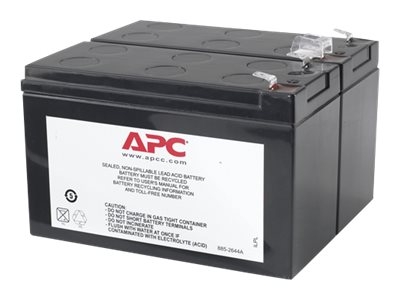 Cartouche de batterie de rechange APC #113 - Batterie d'onduleur - 1 x batterie - Acide de plomb - noir - pour Back-UPS RS 1100