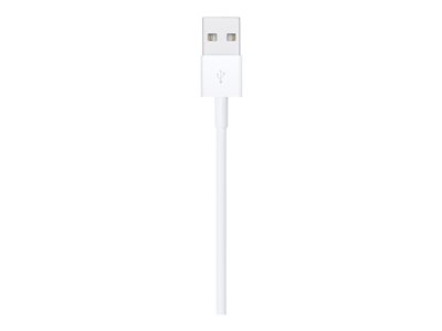 Apple - Câble Lightning - Lightning mâle pour USB mâle - 1 m