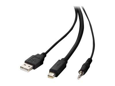 Belkin Secure KVM Combo Cable - Câble vidéo / USB / audio - Conformité TAA - USB, jack mini, Mini DisplayPort (M) pour USB type B, jack mini, DisplayPort (M) - 3.05 m - passif, support 4K - noir