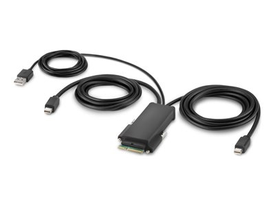 Belkin Secure Modular Mini DP Dual Head Host Cable - Câble vidéo - Mini DisplayPort (M) - 1.83 m