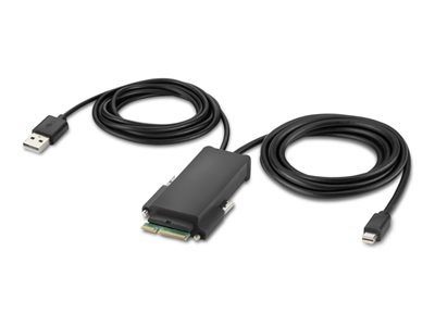 Belkin Secure Modular Mini DP Single Head Host Cable - Câble vidéo - Mini DisplayPort (M) - 1.83 m