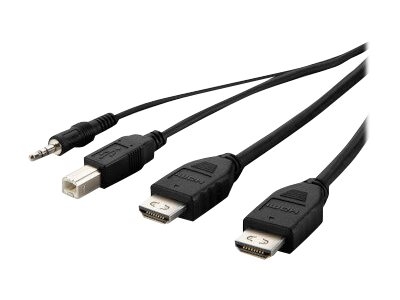 Belkin Secure KVM Combo Cable - Câble vidéo / USB / audio - Conformité TAA - USB, jack mini, DVI-D (M) pour USB type B, jack mini, HDMI (M) - 1.83 m - passif, support 4K - noir