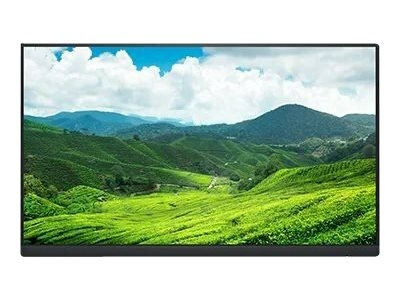 Dell P2222H - Pas de support - écran LED - 22" (21.5" visualisable) - 1920 x 1080 Full HD (1080p) @ 60 Hz - IPS - 250 cd/m² - 1000:1 - 5 ms - HDMI, VGA, DisplayPort - avec 3 ans de service Advanced Exchange