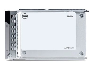 Dell - Kit client - SSD - Centre de données, Lecture intensive - 960 Go - avec transporteur - 2.5" - U.2 PCIe 4.0 (NVMe) - pour PowerEdge R650, R6525, R660, R6615, R6625, R740, R7425, R750, R7525, R760, R7625, T550