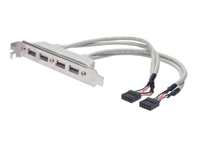 ASSMANN - Panneau USB - IDC 10 broches (F) pour USB (F) - 25 cm - moulé - beige