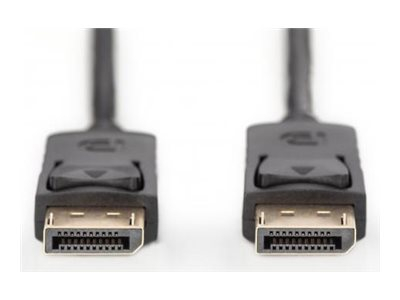 DIGITUS - Câble DisplayPort - DisplayPort (M) pour DisplayPort (M) - 1 m - moulé, support 4K - noir