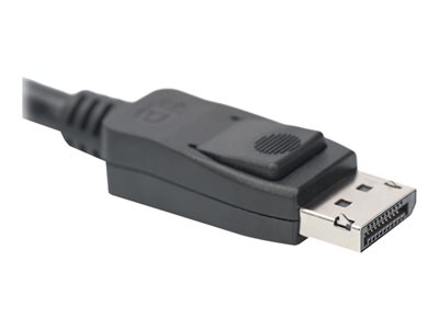 DIGITUS - Câble DisplayPort - DisplayPort (M) pour DisplayPort (M) - DisplayPort 1.4 - 2 m - support 4K, support 8K, support 5K - noir