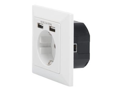 Digitus Socket with 2 USB ports - Adaptateur secteur (alimentation, 2 x USB) - blanc, RAL 9003