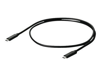 Eizo - Câble USB - 24 pin USB-C (M) pour 24 pin USB-C (M) - 1 m - noir