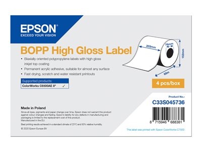 Epson BOPP - Haute-brillance - adhésif permanent en acrylique - microporeux - blanc - Rouleau (20,3 cm x 68 m) 4 rouleau(x) étiquettes continues - pour ColorWorks CW-C6500Ae, CW-C6500Pe