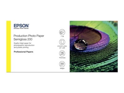 Epson Production - Polyéthylène (PE) - semi-brillant - microporeux - 200 micromètres - Rouleau (60,96 cm x 30 m) - 200 g/m² - 1 rouleau(x) papier photo - pour SureColor P10000, P20000, SC-P10000, P20000, P6000, P7000, P7500, P8000, P9000, T7200