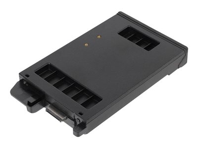 Getac - SSD - chiffré - 256 Go - amovible - SATA - AES - pour Getac S410 G2, S410 G2B, S410 G2P, S410 G3