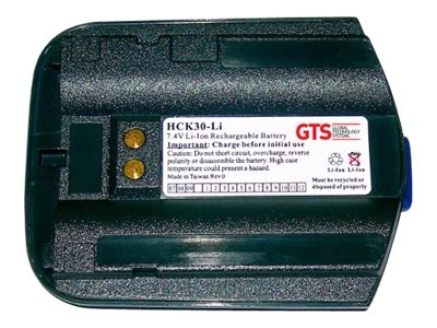 GTS HCK30-LI - Handheld battery (equivalent to: Intermec 318-020-001) - Lithium Ion - 2400 mAh (pack of 10) - for Intermec CK30, CK31