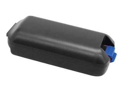 GTS HCK3-LI - Batterie pour lecteur de code barre (équivalent à : Intermec 318-034-001) - Lithium Ion - 5200 mAh (pack de 10) - pour Intermec CK3, CK3A