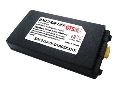 GTS HMC3X00-LI(S) - Batterie pour ordinateur de poche (standard) (équivalent à : Symbol BTRY-MC3XKAB0E) - Lithium Ion - 2700 mAh (pack de 10) - pour Zebra MC3000, MC3090, MC3100, MC3190
