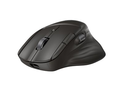 HP 780M - Souris - pleine taille - pour droitiers - optique - 6 boutons - sans fil - Bluetooth, 2.4 GHz - récepteur sans fil USB - noir