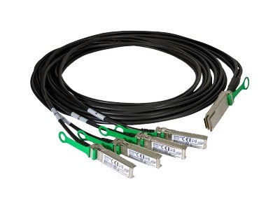 Intel - Câble à attache directe - QSFP28 pour SFP28 - 2 m - twinaxial - pour Ethernet Converged Network Adapter XXV710, XXV710-DA1; Ethernet Network Adapter XXV710-DA2